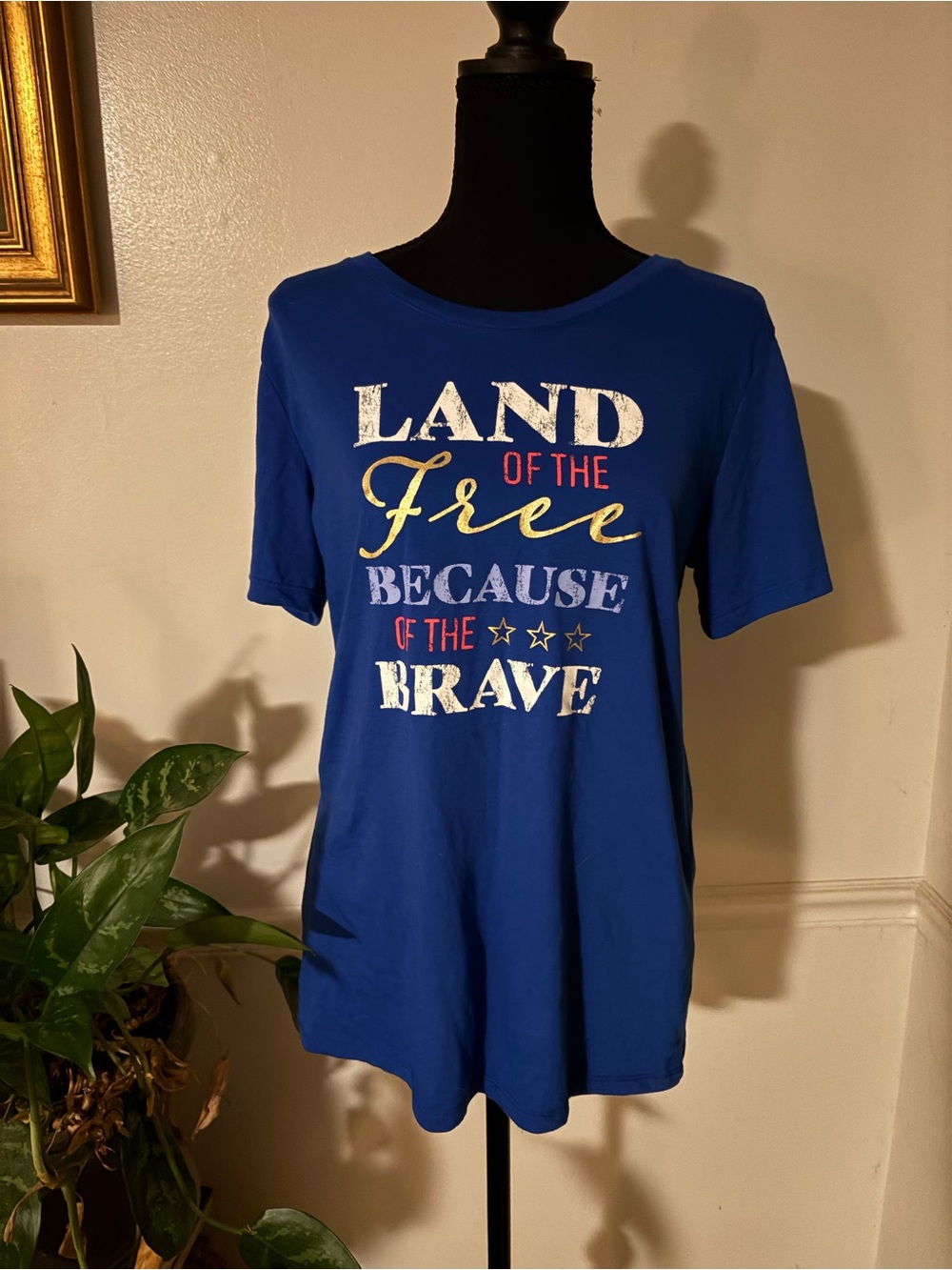 Women’s patriotic tee